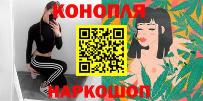 винт Будённовск