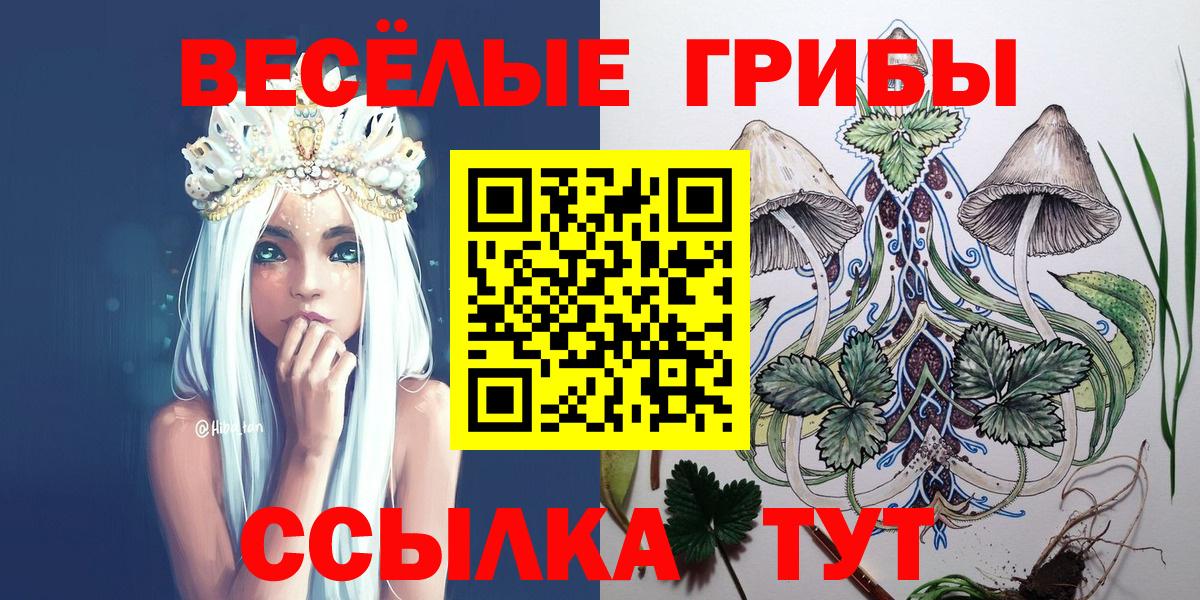 Кудымкар  Галлюциногенные грибы мицелий  Вход с VPN 