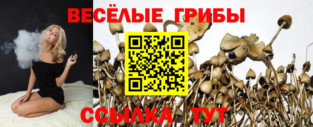 Галлюциногенные грибы Cubensis Кудымкар